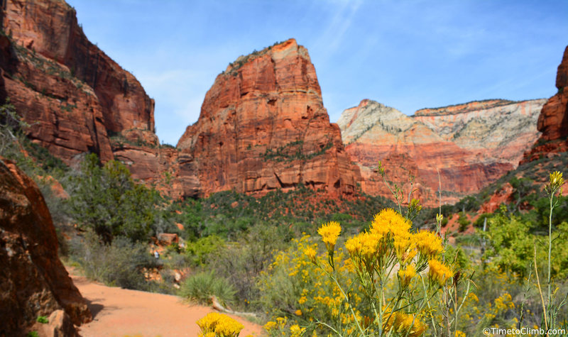 Angel's Landing - http://www.timetoclimb.com/hiking/hiking-angels-landing/