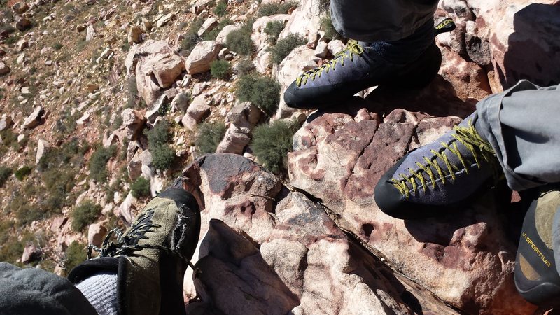 Shoe Pic. Birdland.  Red Rock Nevada.  November 2015.