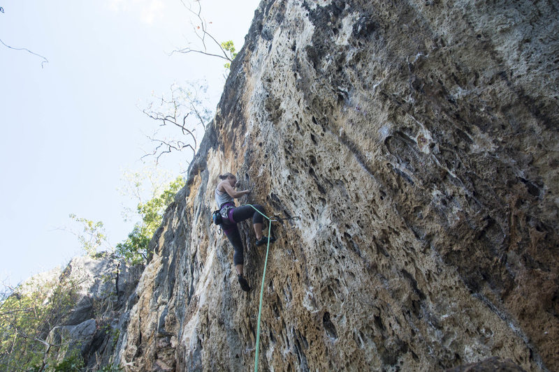 Katie on the new route