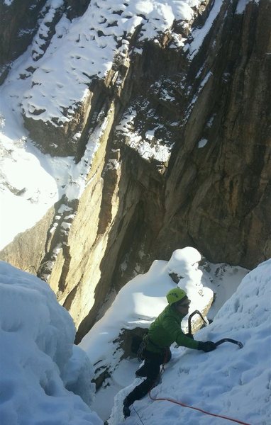 Topping out on Paranoia.
