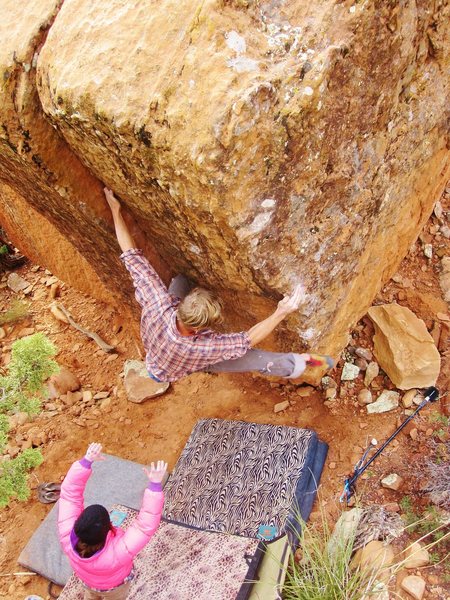 Zach H on 'Pink Puff'. The BreezeBlocks