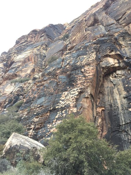 Started left of bird land on the shelf, climbed up and to the first belay, but with some rope management linked to the second belay with a 70m. Second pitch climbed 30' to a shelf and up the stellar crack splitting the face. In my opinion one of the best 5.8 pitches around. Rapped to the shelf with one 70m and down climbed 30' to the anchor. Two rappels down using the 70m.