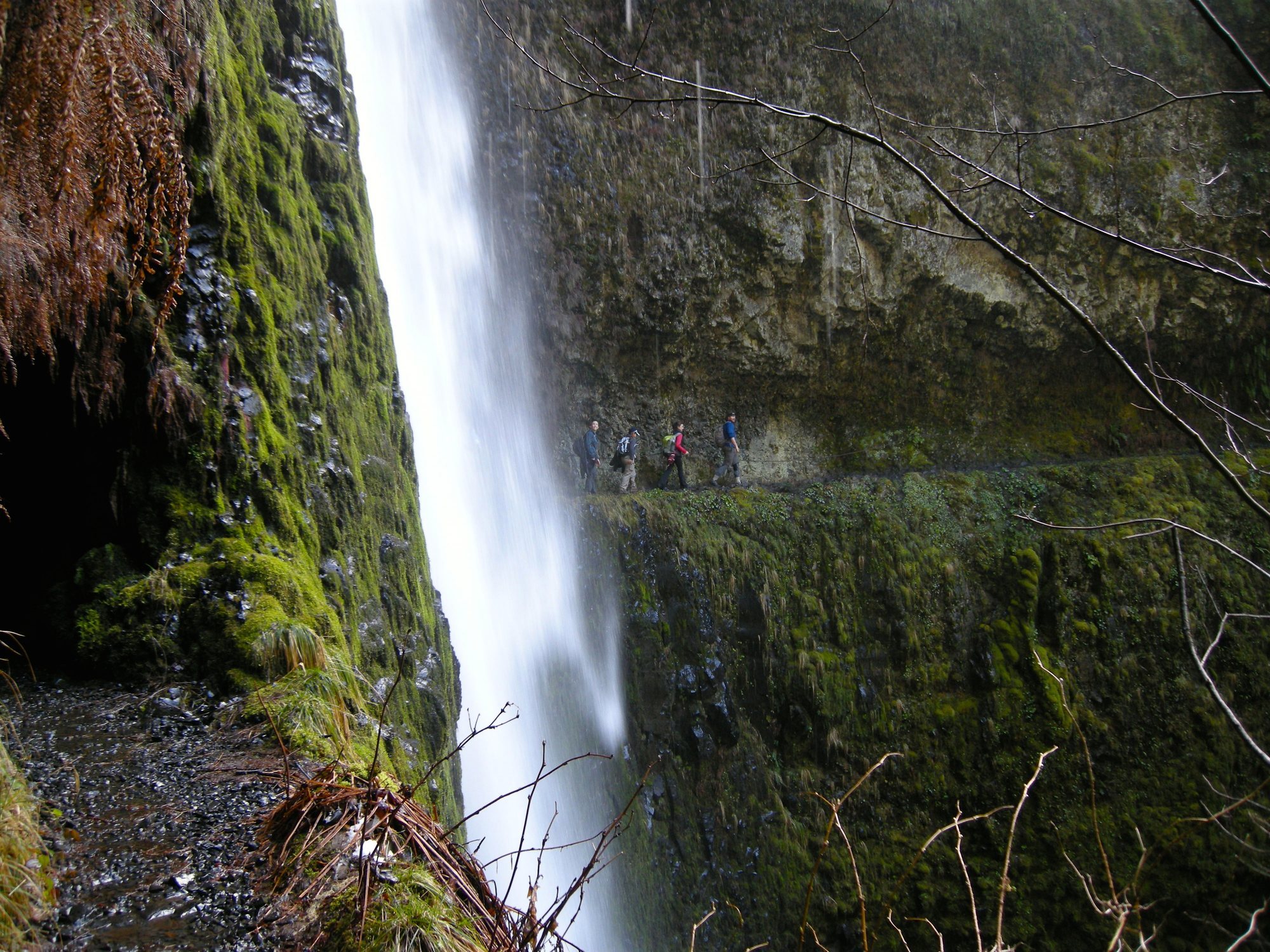 Tunnel Falls on the Eagle Creek trail.