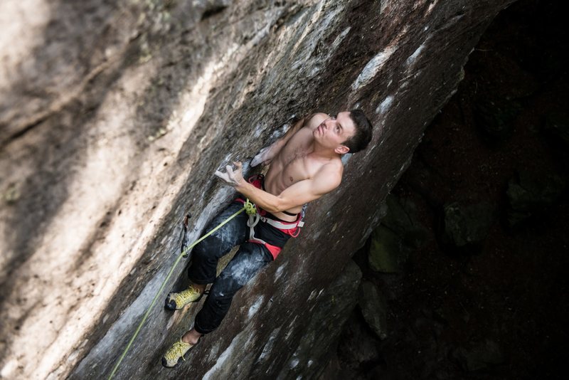 Focus<br>
Photo by Tommy Hardt