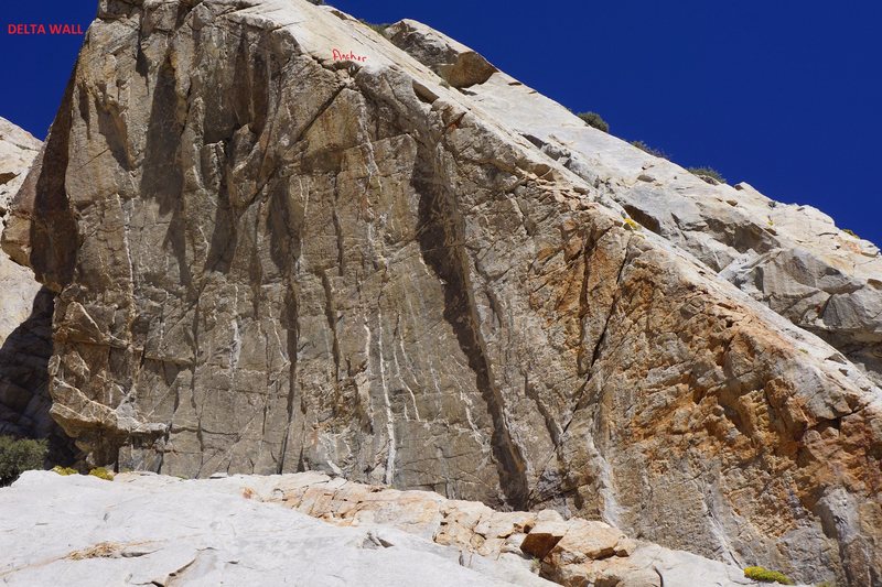 Delta Wall