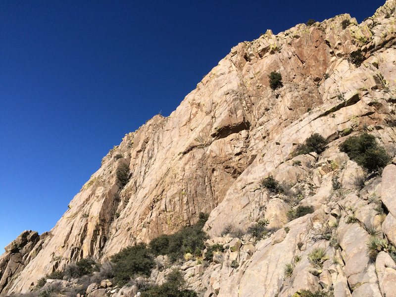 The lower portion of the south wall of Rogowski's Rib.