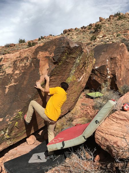 Cory Taylor demonstrating the start holds.
