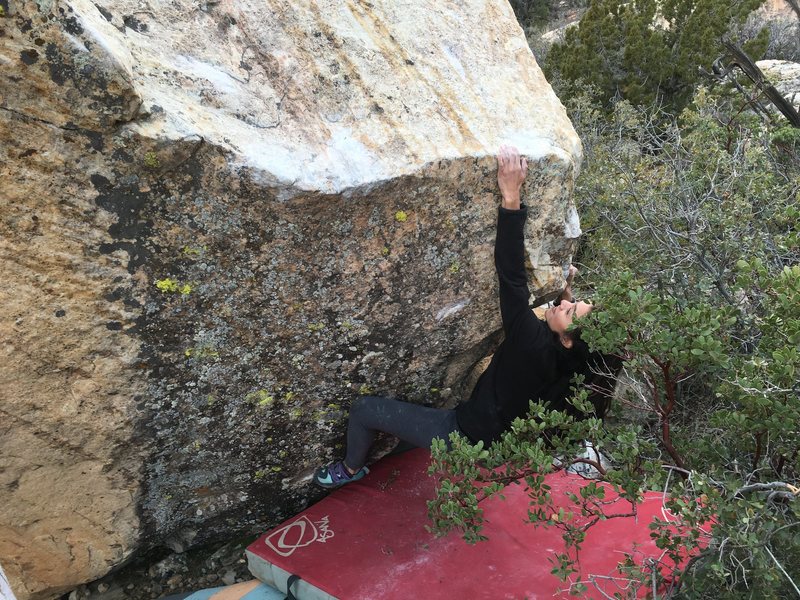 Erika McBee on the f.a.