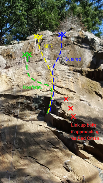 Seam Project topo