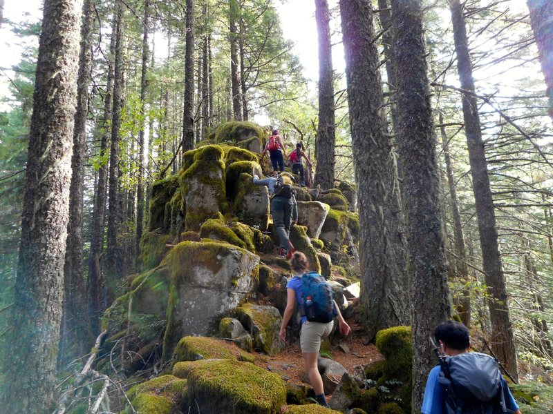 Rourke's Ridge Ruckle Ridge. A popular gorge hike with a short 3rd class section.