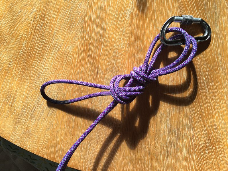 Tie a half-grapevine with the loop, going around the two strands of rope (presumably going to your followers). 