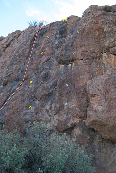 Left: European Sweetheart (TR)<br>
Center: Poker Face (4 bolts)<br>
Right: Wallflower (4 bolts)