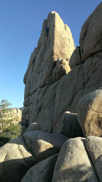 near the top!