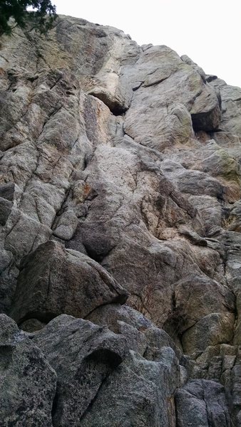 Grins 5.8, full view.