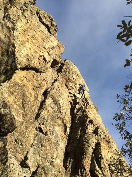 Climber on Coronor