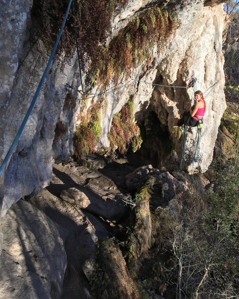 Climbing pitch two, looking back at the belay. MIND THE FERNS!