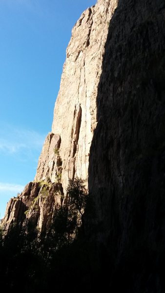 The wall