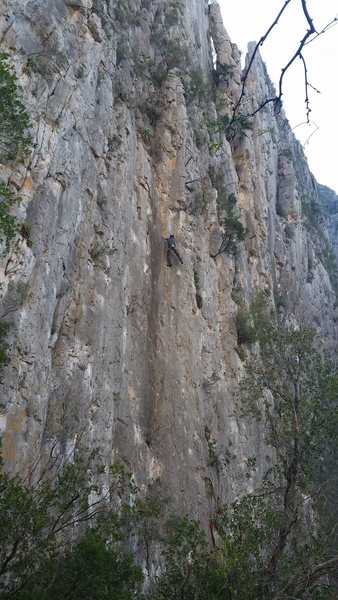 Good long view of Cooters on Scooters 10d on Wonder Wall. <br>
Andrea on second. Photo by Jeffrey Gagliano.