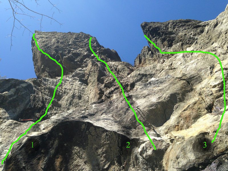 View up from the Predator belay ledge.<br>
1. Predator <br>
2. The Opportunist <br>
3. Tropicana (Pitch 2)