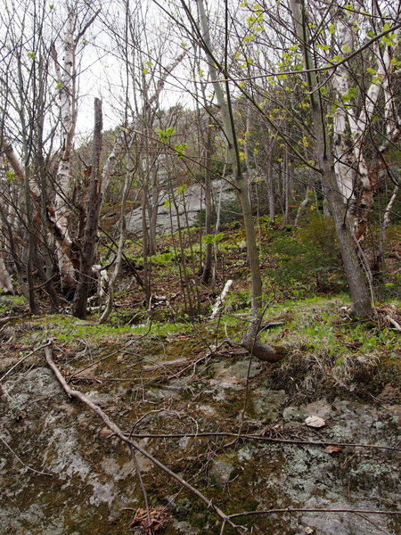Just beyond stream crossing, Oct. Sundae visible through the trees