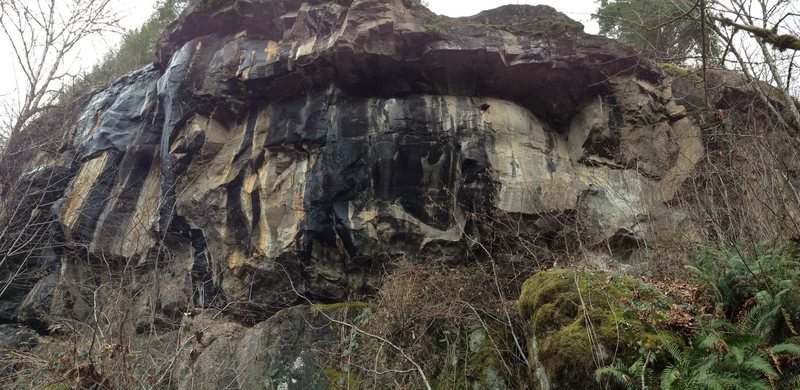 Middle Section of the cliff. Probably will hold mainly 5.13 and harder routes. The bolted arete on the left is supposedly 5.13+.