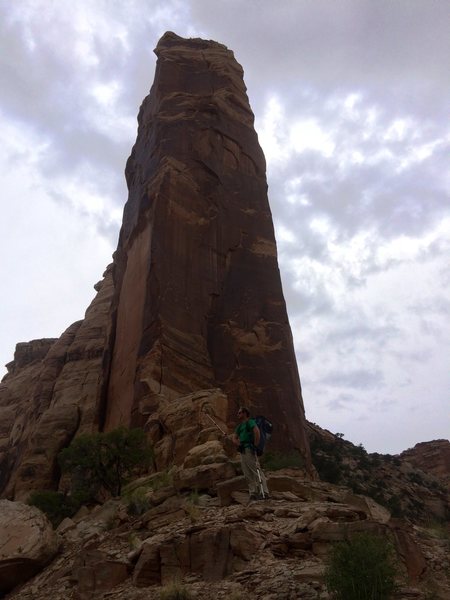 Petrified Wood Tower
