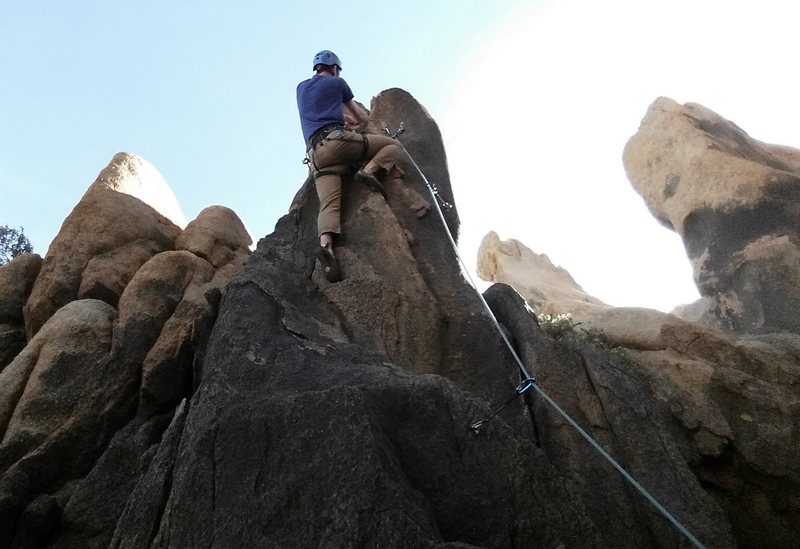 Short climb up beetle bug.