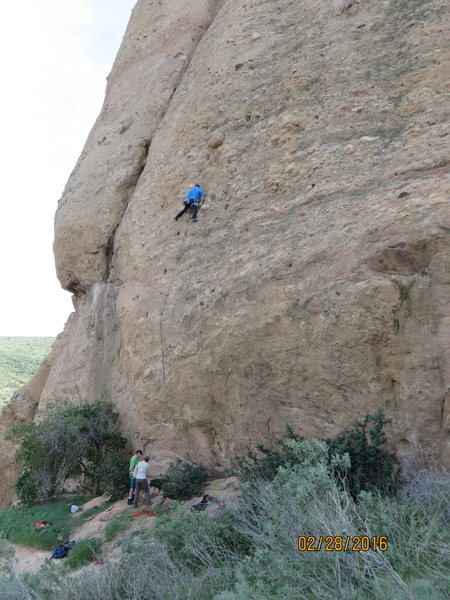 Pulling knobs and cobbles on P2 of "Tex-Mex" on the Pangea Wall.