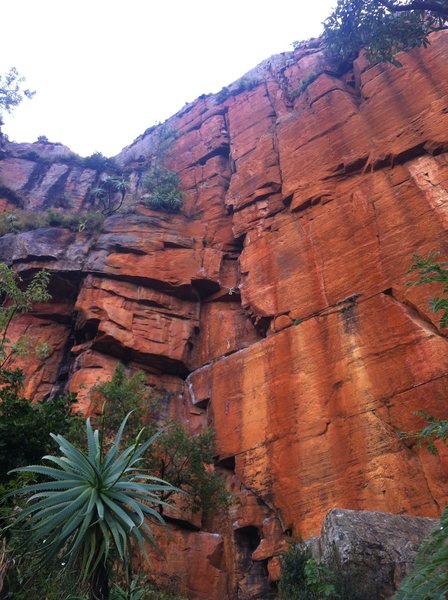 Beautiful orange quartzite. Very fun climb.