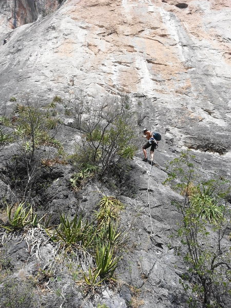 Fixed line leading to start of route. There's a good ledge to belay from at the top of the fixed line