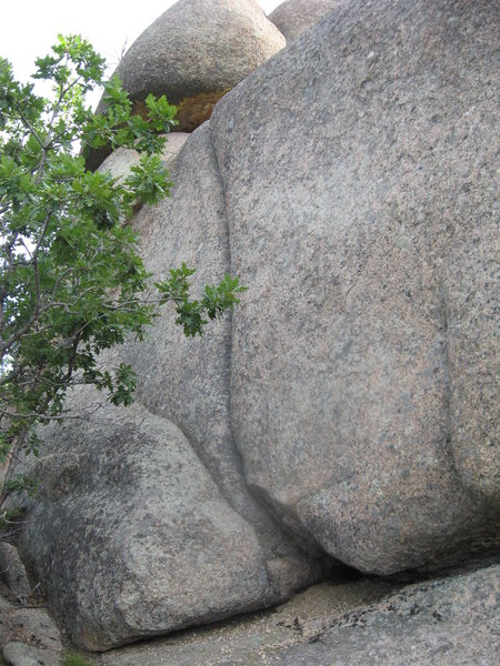 Climb it.
