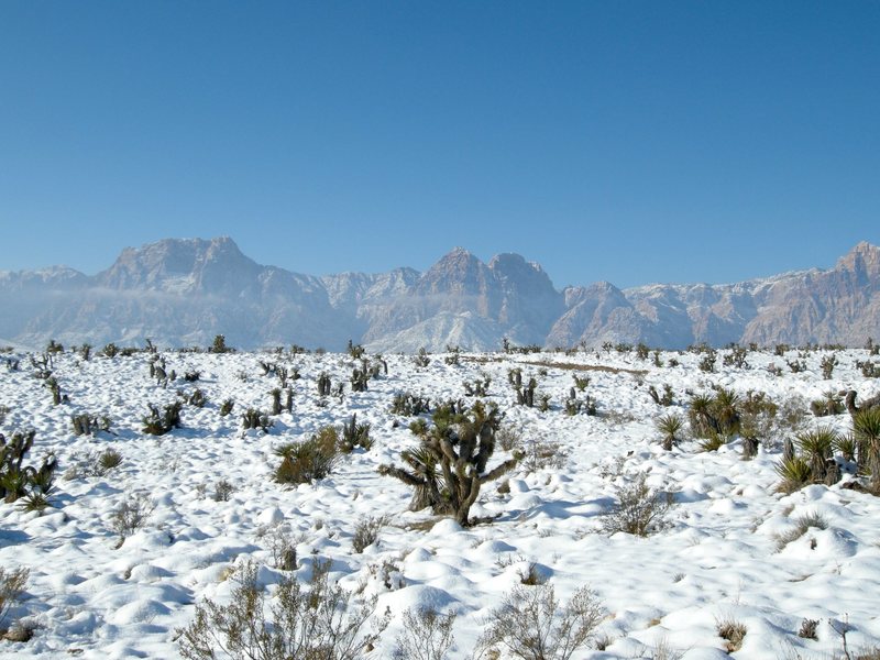 Snow at Red Rock.