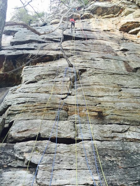 Jackie is the route barely visible behind the cluster of ropes.