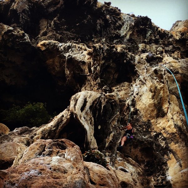 Deb climbing "Monkey Love". Fun climb. January 2016