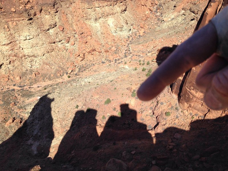 From the tippy top.