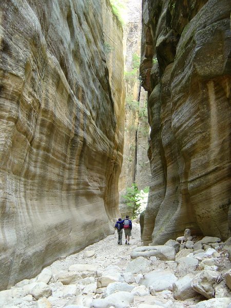 Orderville Canyon.