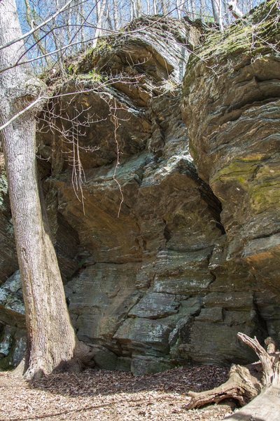 This is not exactly the Whitewater Crack, but it is in the same formation on the Whitewater Creek Trail. There are several cracks and an overhang in the formation.