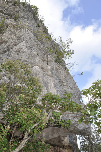 The top part of Gigantica, the crux not been climbed yet,...no bolts here only TR is possible..