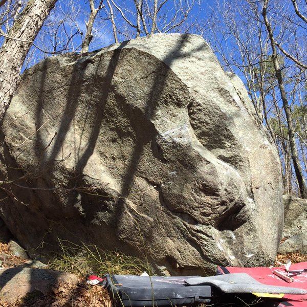 Gold Medal, V5.