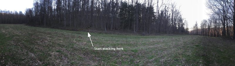 Panorama from middle of clearing and where you begin a mild ascent bushwacking all the way to the start. About a halfish mile away from the crag. Head westward with a mild north trajectory heading up the mild ascent. A fallen tree marks the start and maybe some pink flags will mark the path.