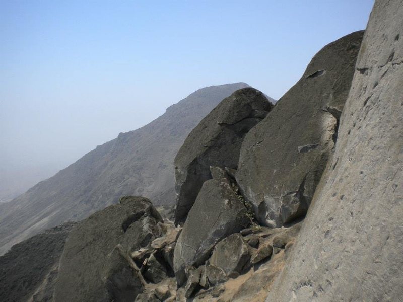 Looking off to the left!