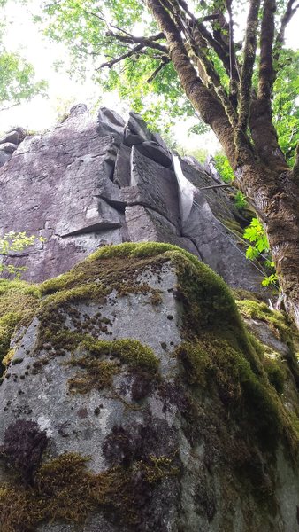 Missing Bottle Buttress showing Happy Puppy (flaring chimney on right) and Who Put the Purr... (crack system on left).