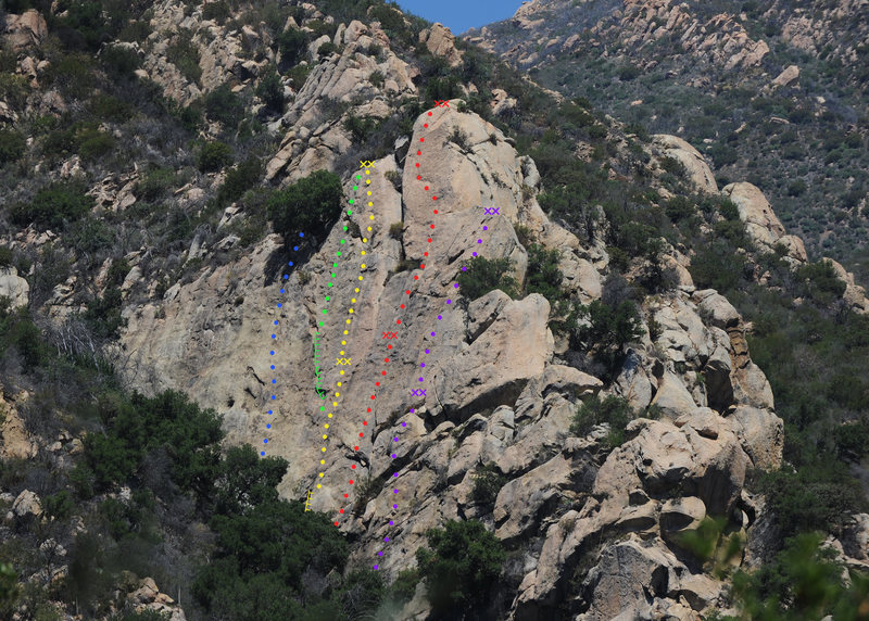 Purple - Ugly Duckling (5.9)