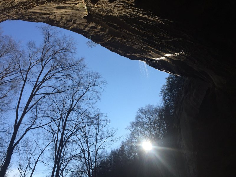 Amphitheater between the Gallery and Volunteer Wall at PMRP on Jan. 1, 2016