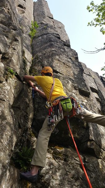 Cleaning/placing in the very fertile crack.