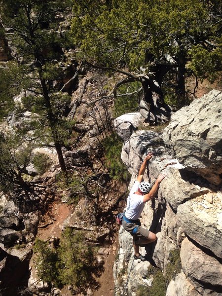 Getting to the top. #instacool