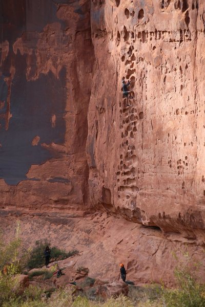 Kiddo doing his thing on the upper section