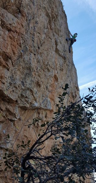 Steve Brown on the lower portion of Irresistible. The route shares 4 bolts with Delirious before breaking right. A shoulder length sling is recommended at the last traverse bolt (the one with the pockets) to prevent drag.