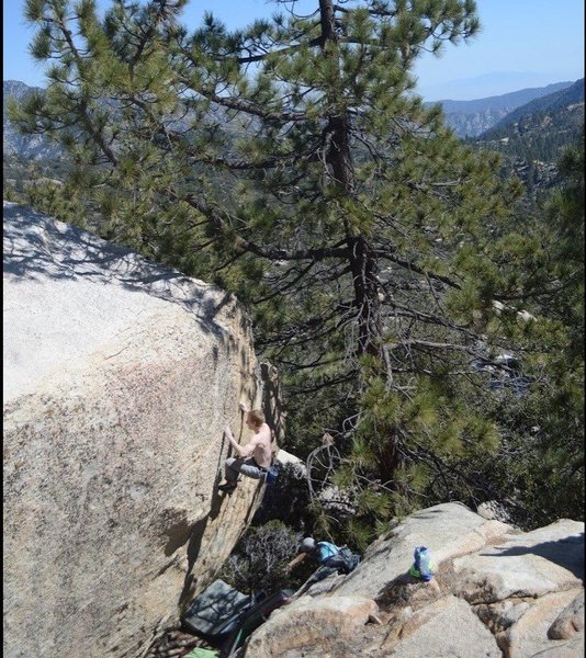 Nearing the top of Better bold than old