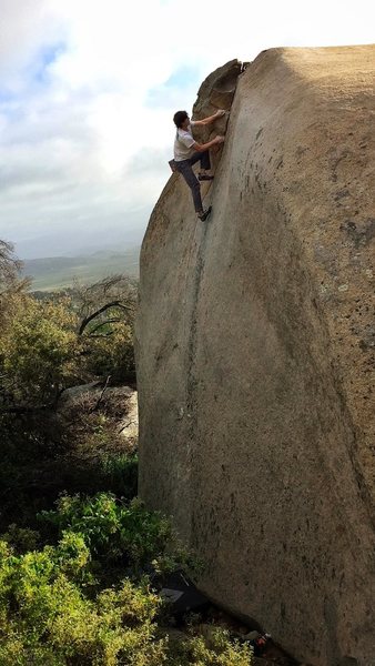 Longer than most, instant classic! Photo by Eden Anbar